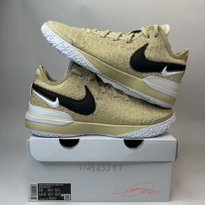 Nike Zoom LeBron NXXT Gen TB Promo “Team Gold Black” 2023